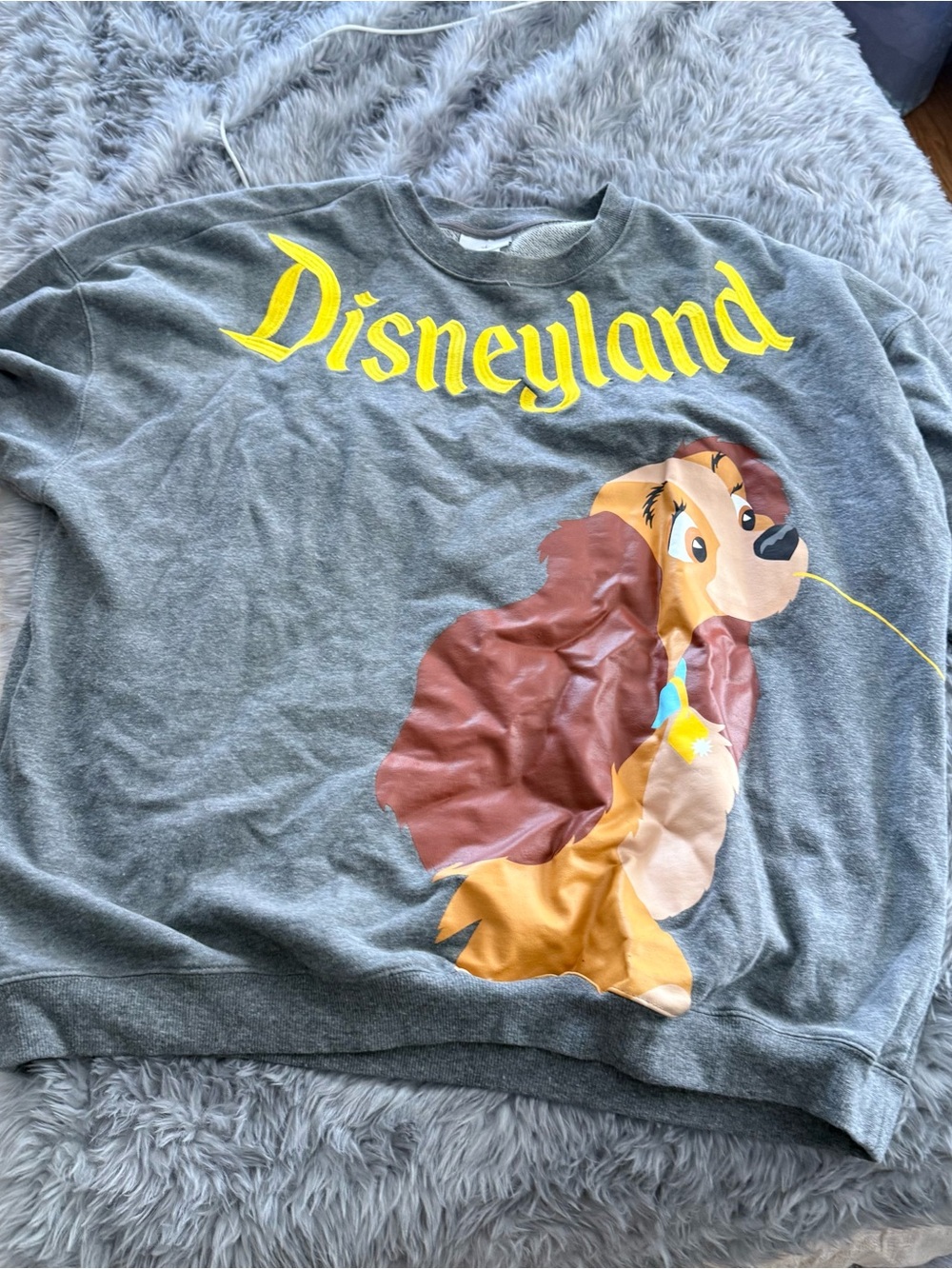 Disneyland Lady & The Tramp sweatshirt